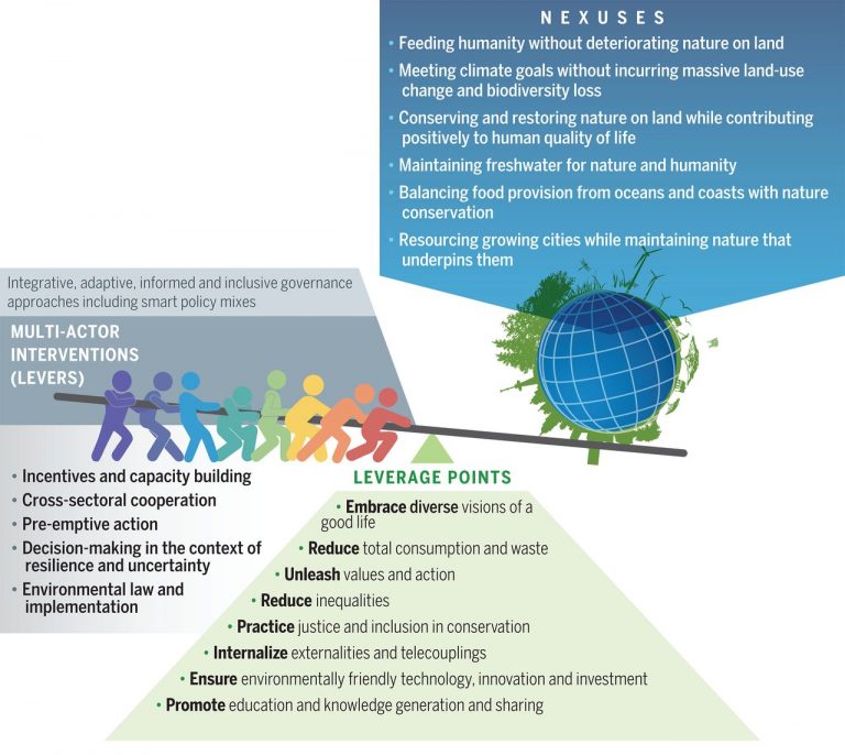 Plantae Plant Science Research Weekly December Th Plantae