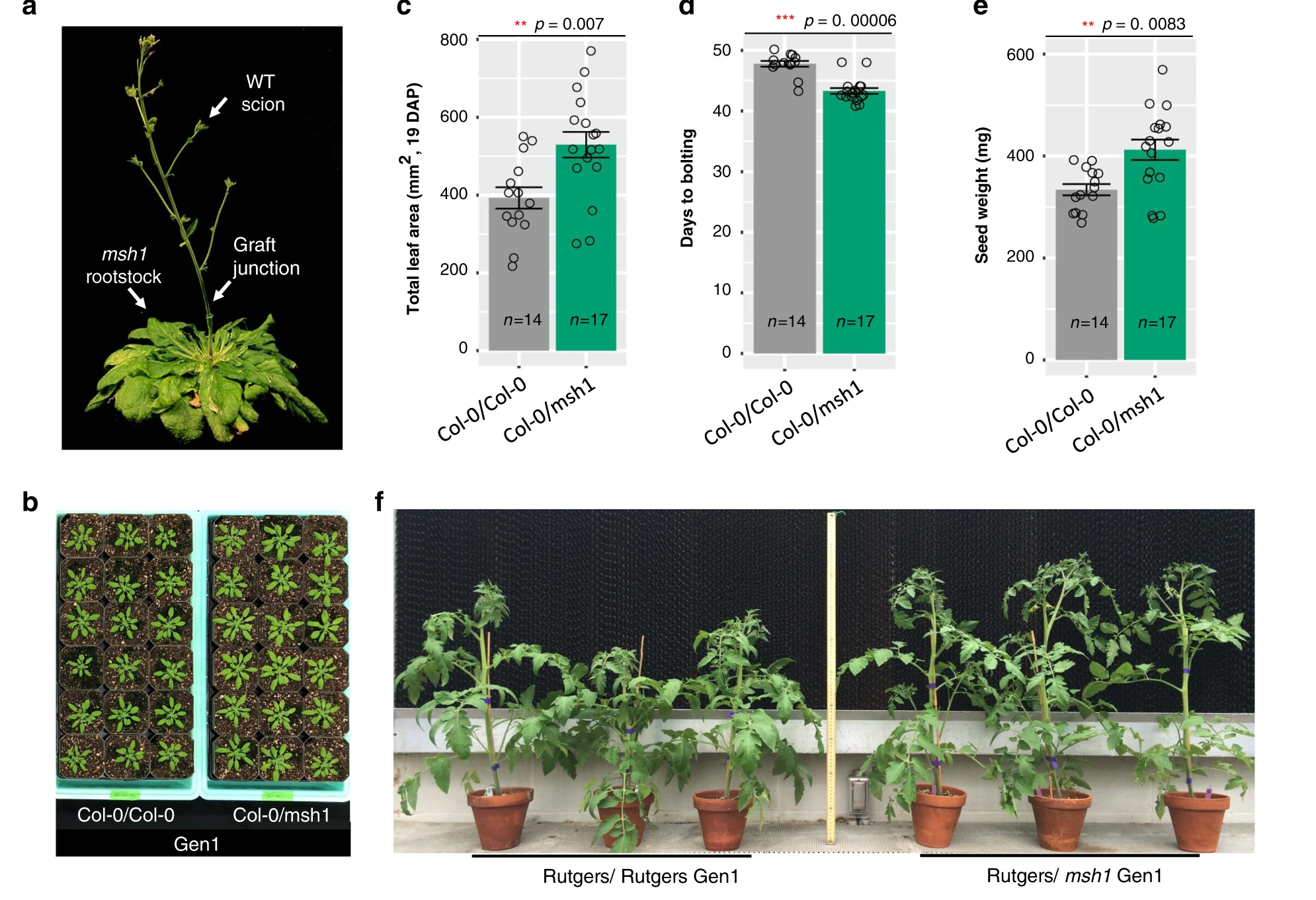 Plant Science Research Weekly November Plantae