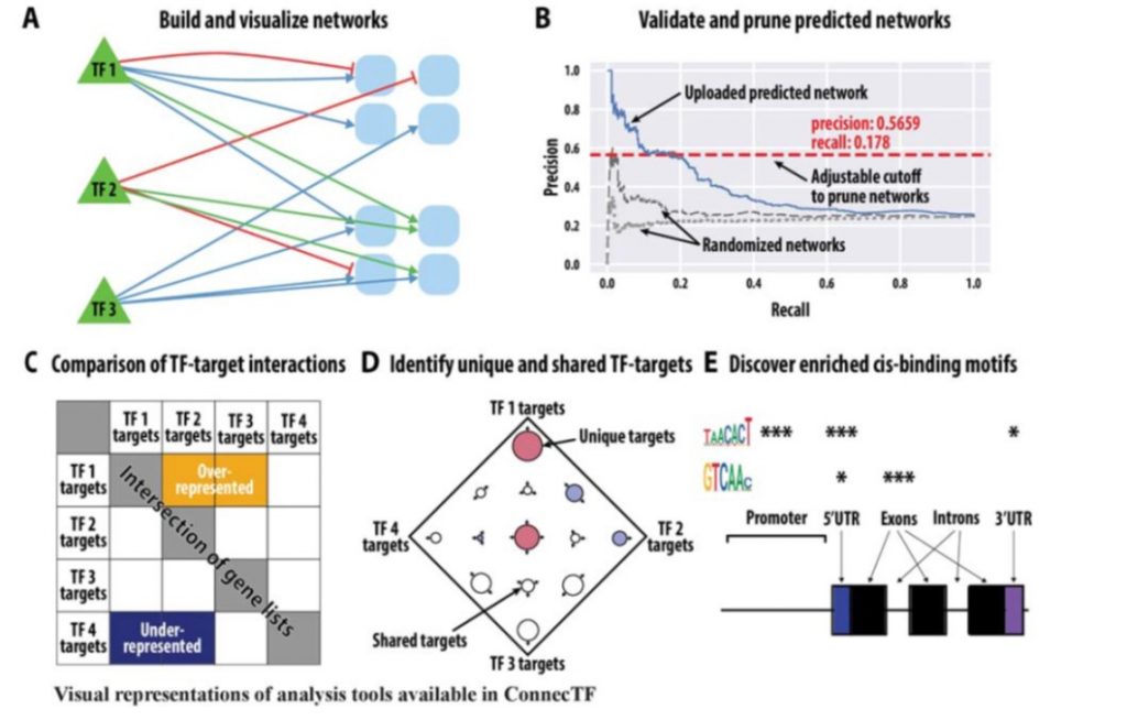 ConnecTF A Platform To Integrate Transcription Factor Gene