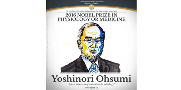 Plantae Congratulations To Yoshinori Ohsumi Plantae