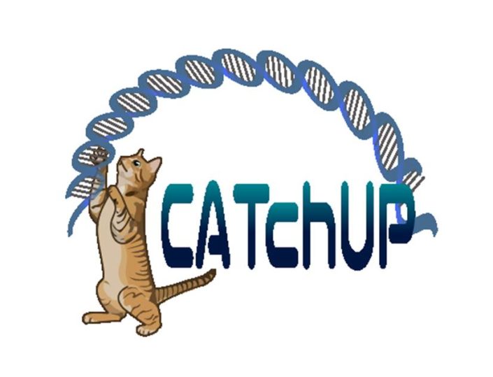 Catchup a web database providing information on spatiotemporal