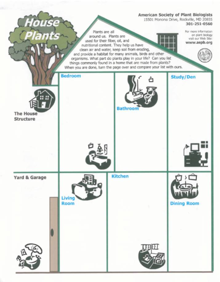 Plantae Hunt For Plants In Your House Plantae