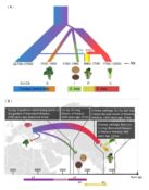 Plantae | Genomic Inferences Of Domestication Events Are Corroborated ...