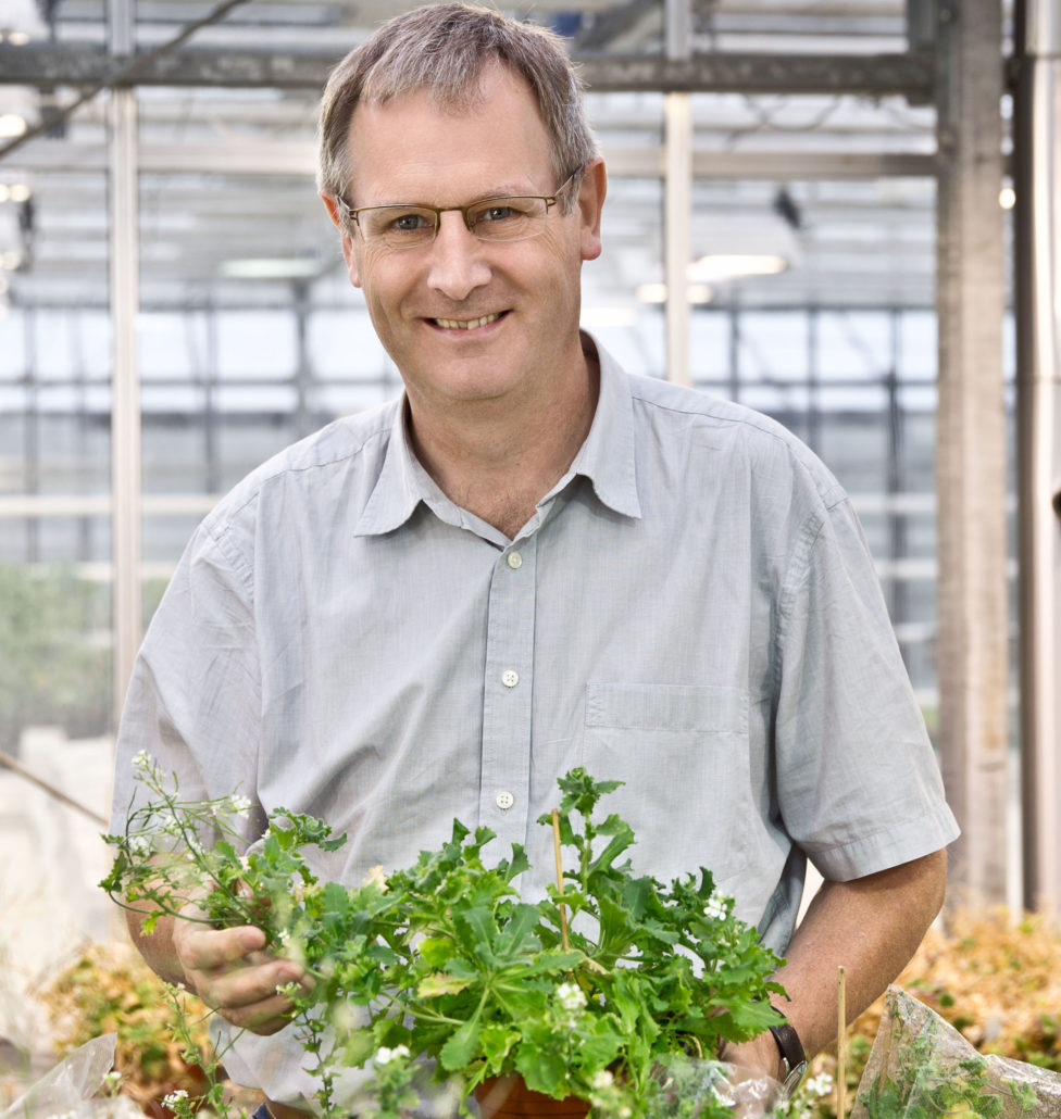 George Coupland, Senior Editor | Plantae