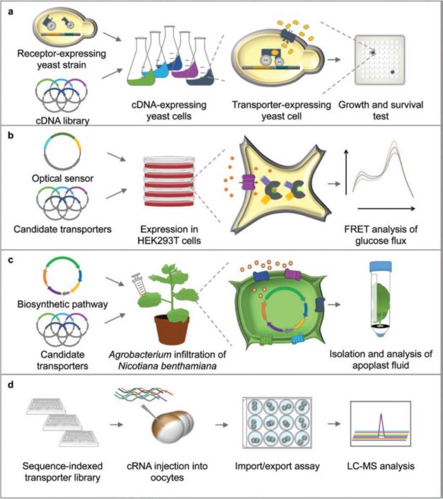 Review: Advances In Methods For Identification And Characterization Of 