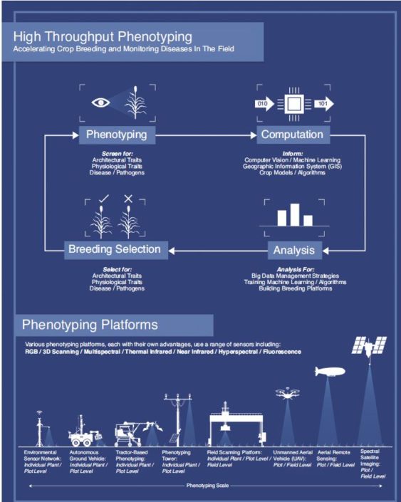 High throughput phenotyping to accelerate crop breeding and monitoring