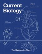 Special Issue of Current Biology “The Making of a Plant” | Plantae