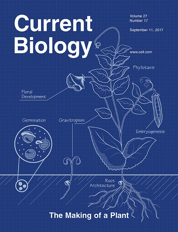 Special Issue of Current Biology “The Making of a Plant” Plantae
