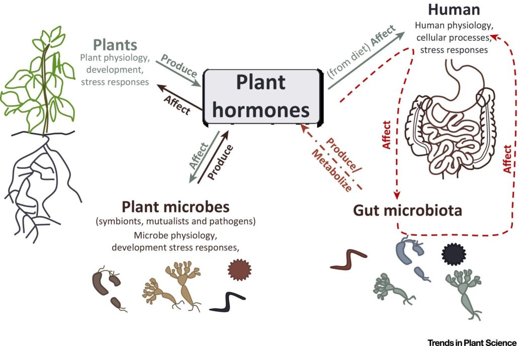 what-we-re-reading-september-8th-plantae