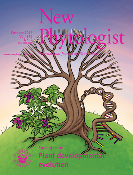 Special Issue: Plant Evolutionary Developmental Biology (Plant Evo-Devo ...