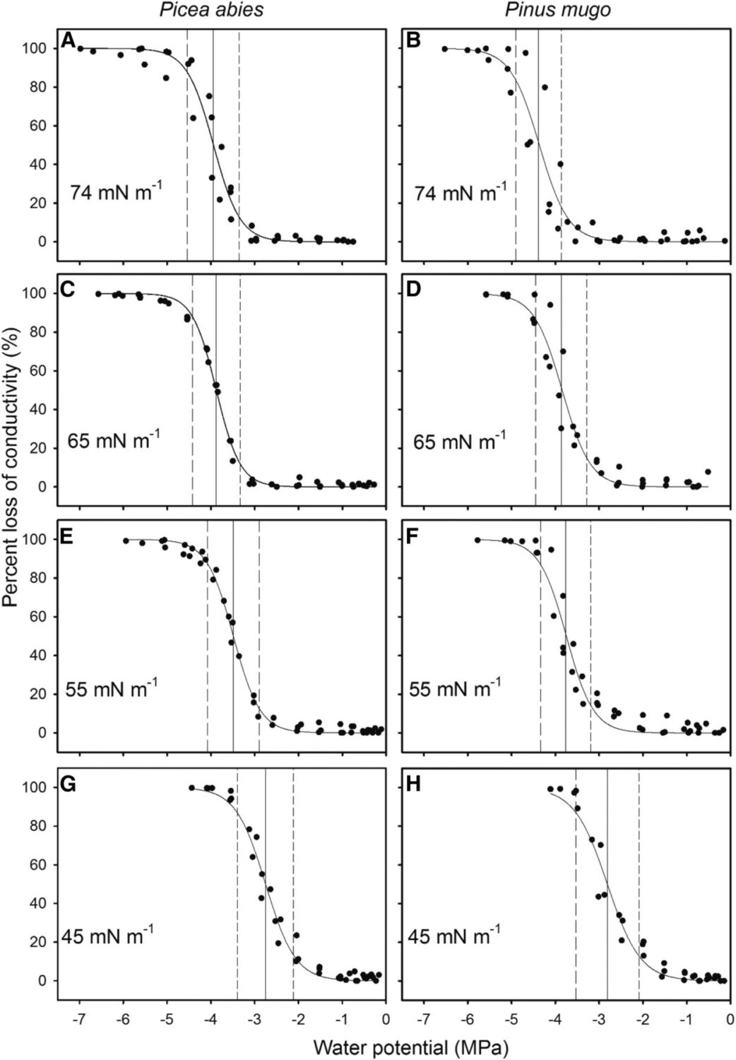 Xylem Sap Surface Tension and Hydraulic Safety Plantae