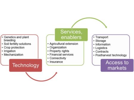 Bridging the Gap between Science and the Field | Plantae