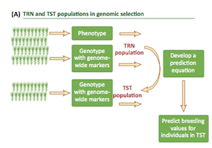 Review. Genomic Selection In Plant Breeding: Methods, Models, And ...