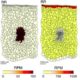 Transcriptome mapping of tomato fruit development and ripening (Nature ...