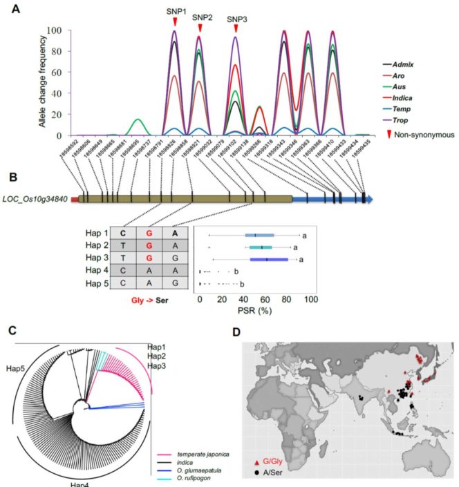Plantae Identification of cold tolerance genes and a functional