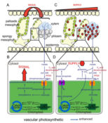 Plantae | What We’re Reading: May 11th | Plantae