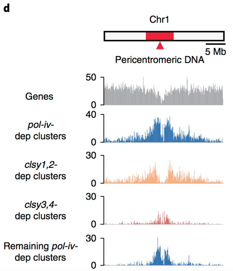 Stay CLASSY: Control of locus-specific de novo DNA methylation by the ...