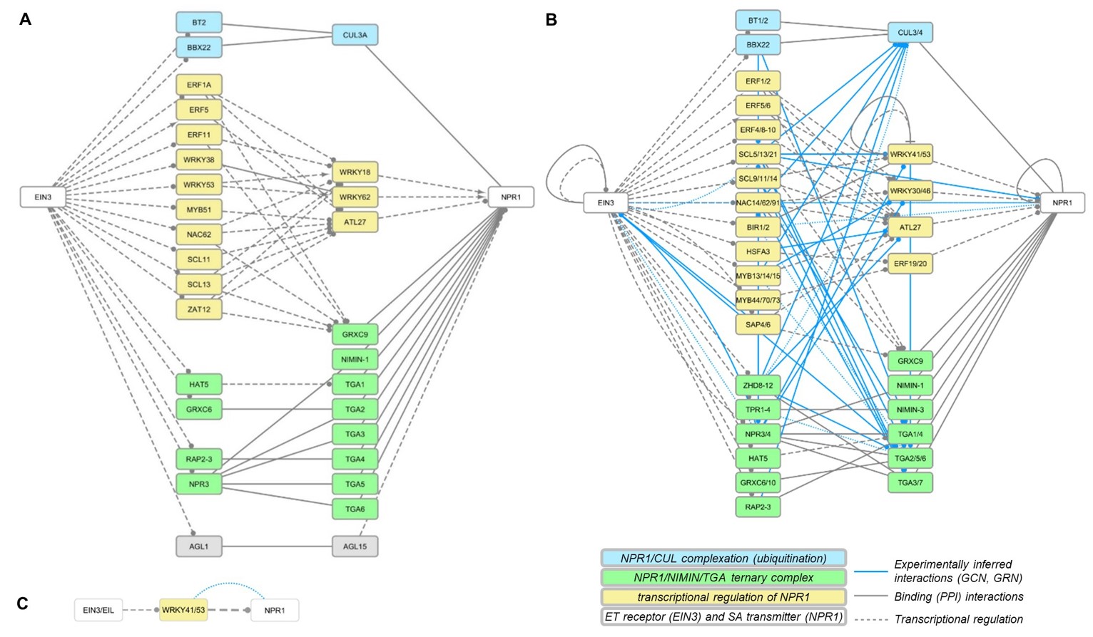 Plantae Network modelling unravels mechanisms of crosstalk between ethylene and salicylate