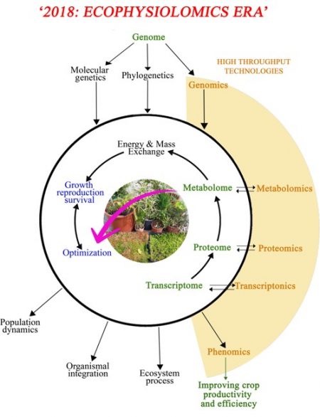 Focused Review A Role For Ecophysiology In The Omics Era Plant J