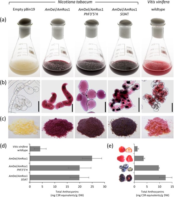 Benefits anthocyanin Anthocyanins: Chemical