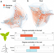 Characterizing both bacteria and fungi improves understanding of the ...