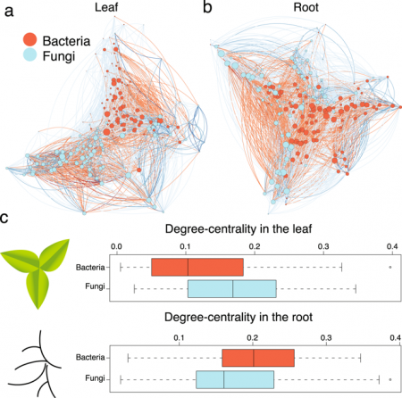 Characterizing both bacteria and fungi improves understanding of the