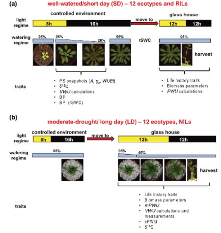 Plantae | Plant Science Research Weekly: May 31st | Plantae