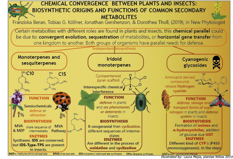 Chemical Convergence Between Plants And Insects: Biosynthetic Origins ...