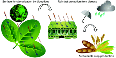 Plant Science Research Weekly: June 14th | Plantae