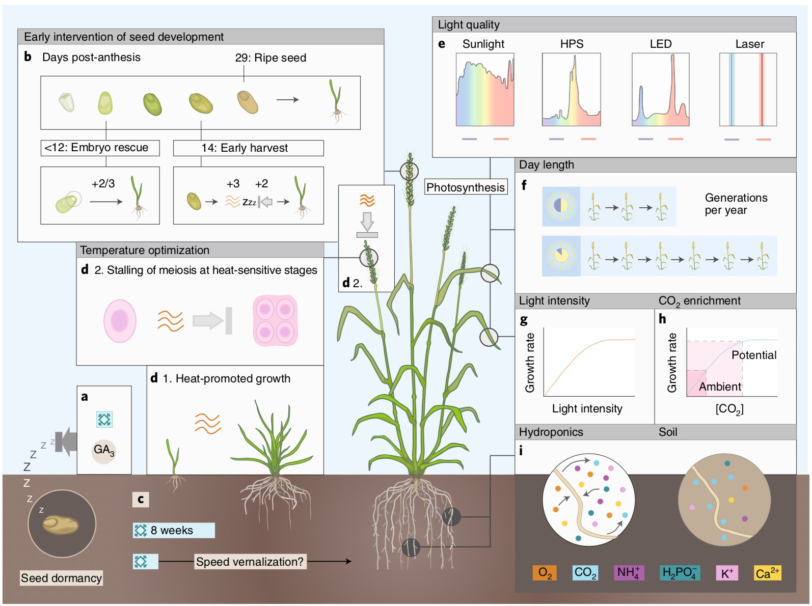 Plantae | Review: Crop breeding technologies to feed world (Nature Biotech) Plantae