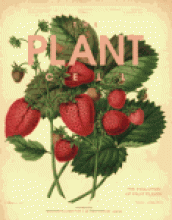 Plantae | The Plant CELLebration: Poster collection! | Plantae