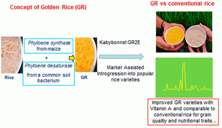 Plant Science Research Weekly: July 26th | Plantae
