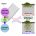 Modulated Roots Root system depth is shaped by EXOCYST70A3 via modulation of auxin ...