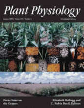 Plantae | Plant Physiology | Plantae