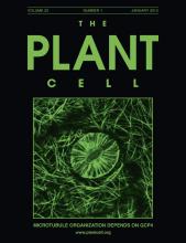 research about plant cell