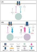 Plant Science Research Weekly: September 6th | Plantae