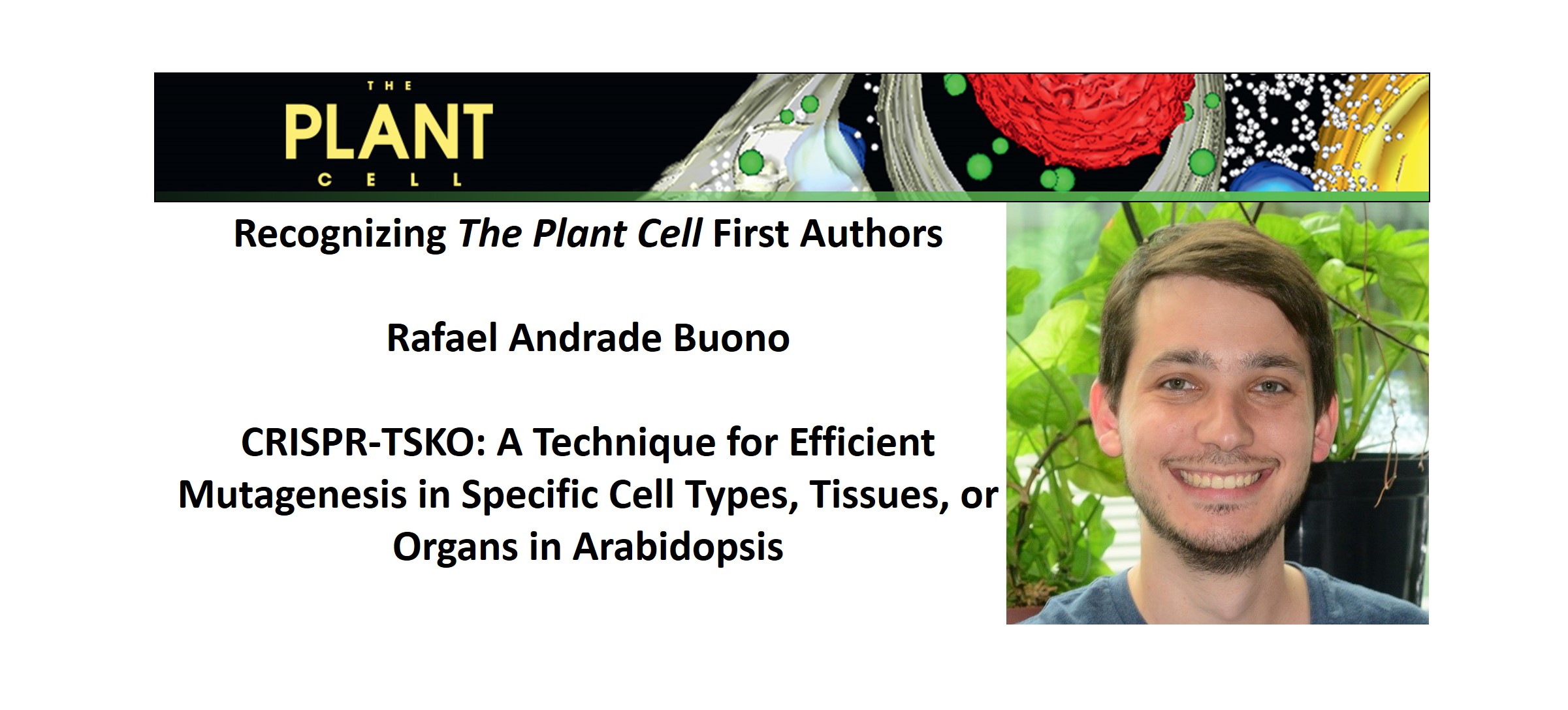 Recognizing Plant Cell first authors Rafael Andrade Buono Plantae