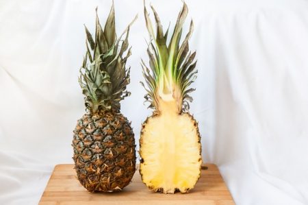 Plant Science Research Weekly October 11 Plantae 