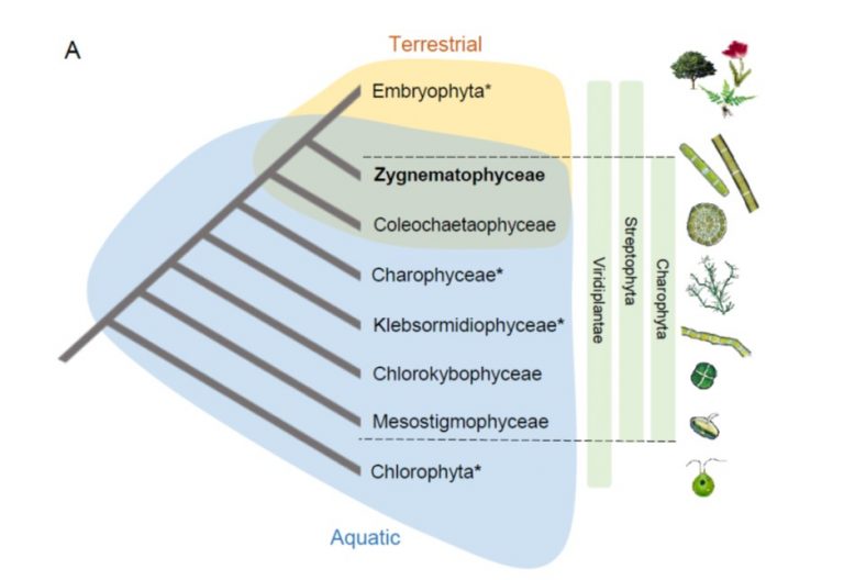 Plant Science Research Weekly: November 22 