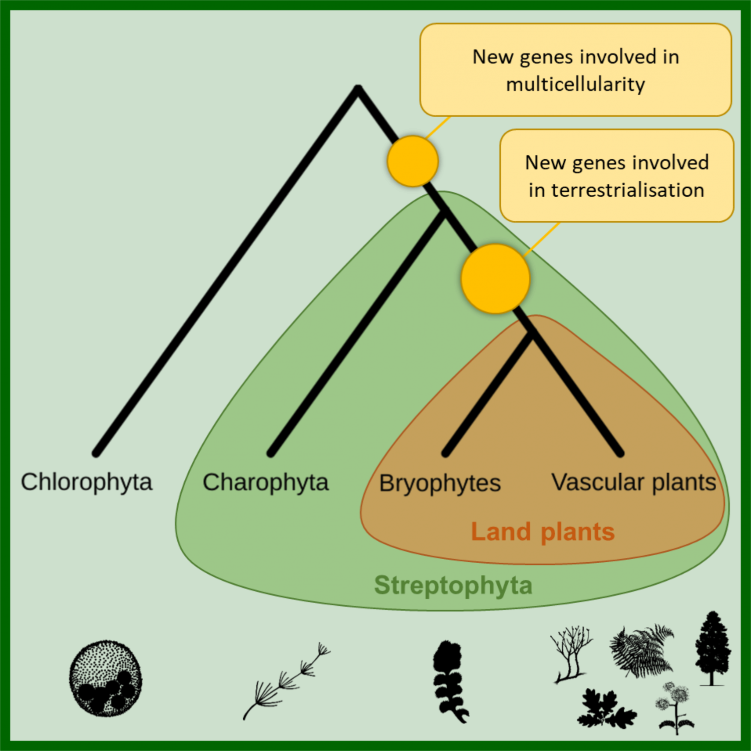 Plant Science Research Weekly: January 24 | Plantae