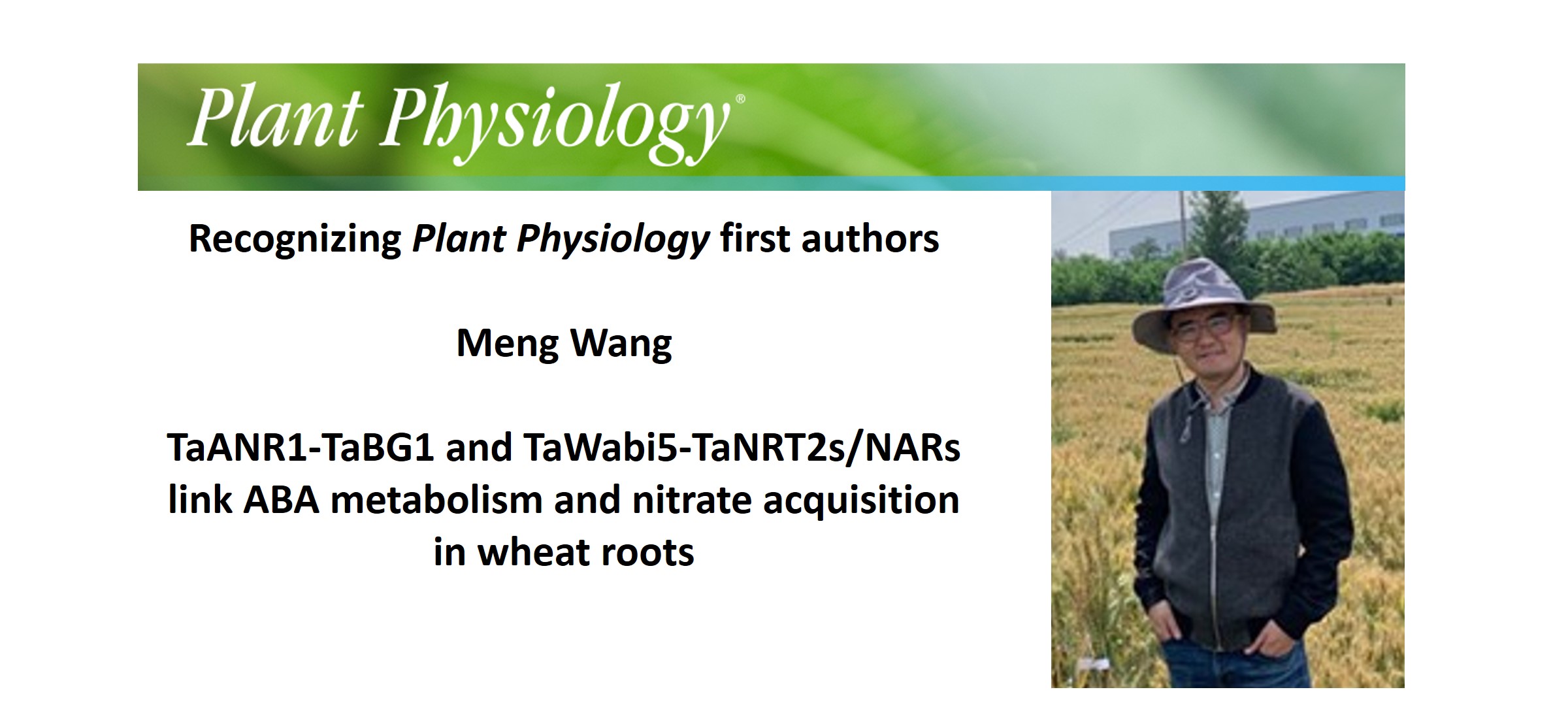 Recognizing Plant Physiology authors: Meng Wang | Plantae