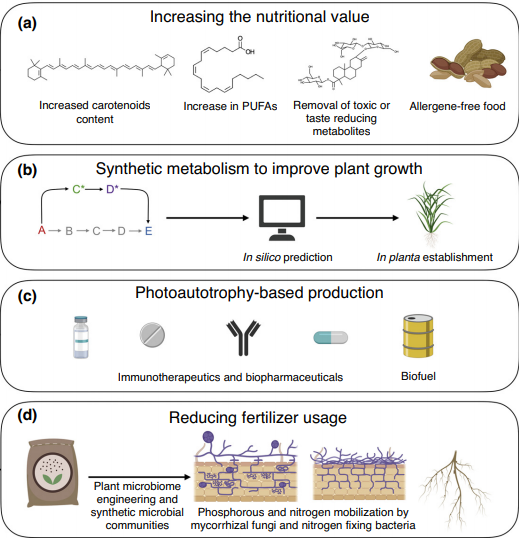 Plantae | Review: The impact of synthetic biology for future ...