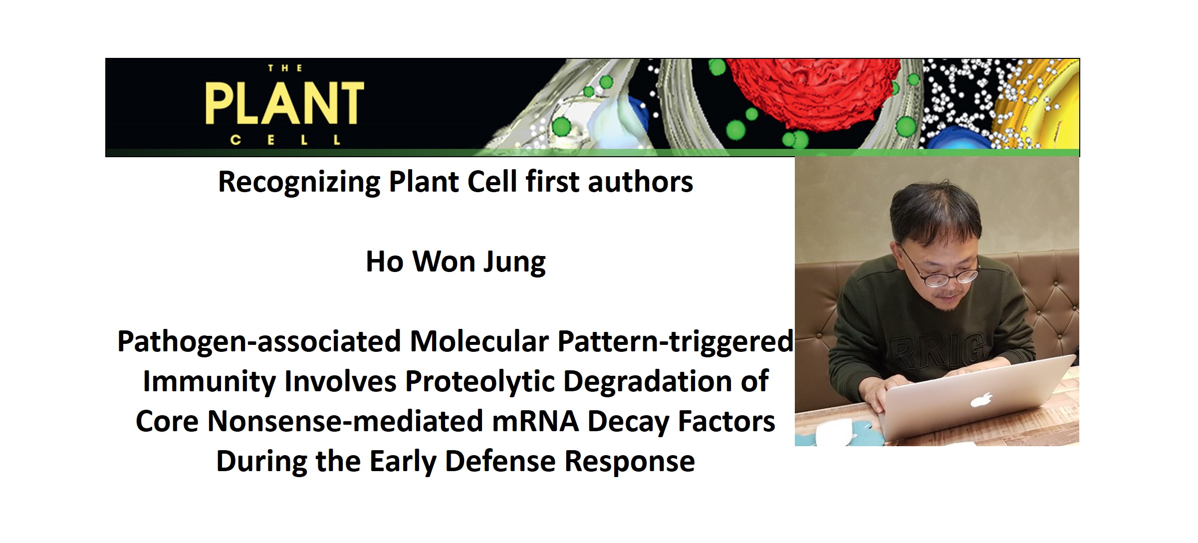Recognizing Plant Cell authors: Ho Won Jung | Plantae