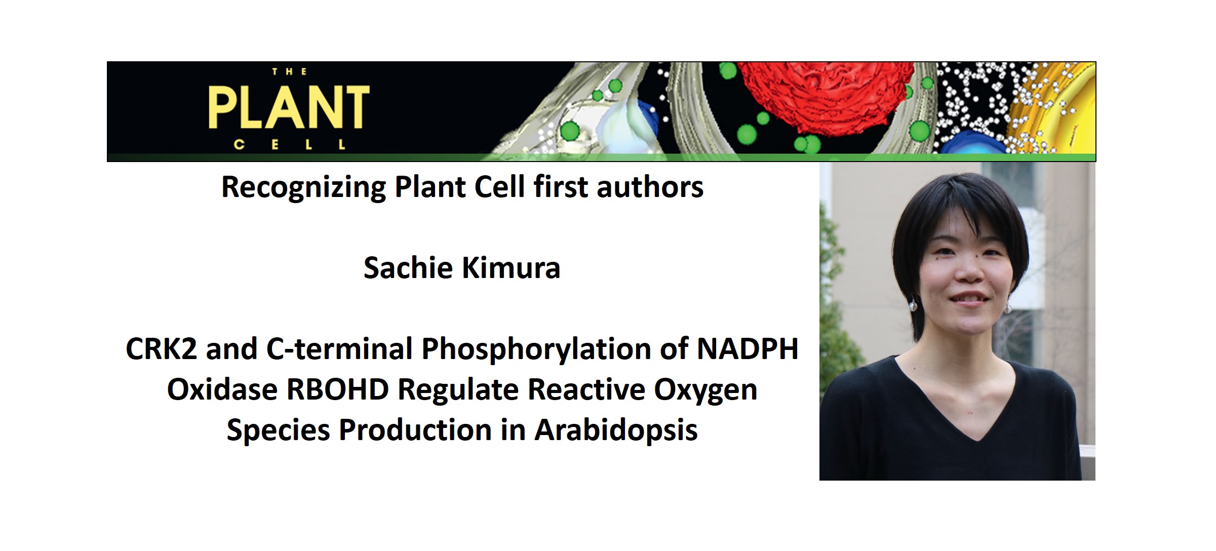 Plantae Recognizing Plant Cell Authors Sachie Kimura Plantae