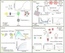 Review: In vitro analytical approaches to study plant ligand-receptor ...