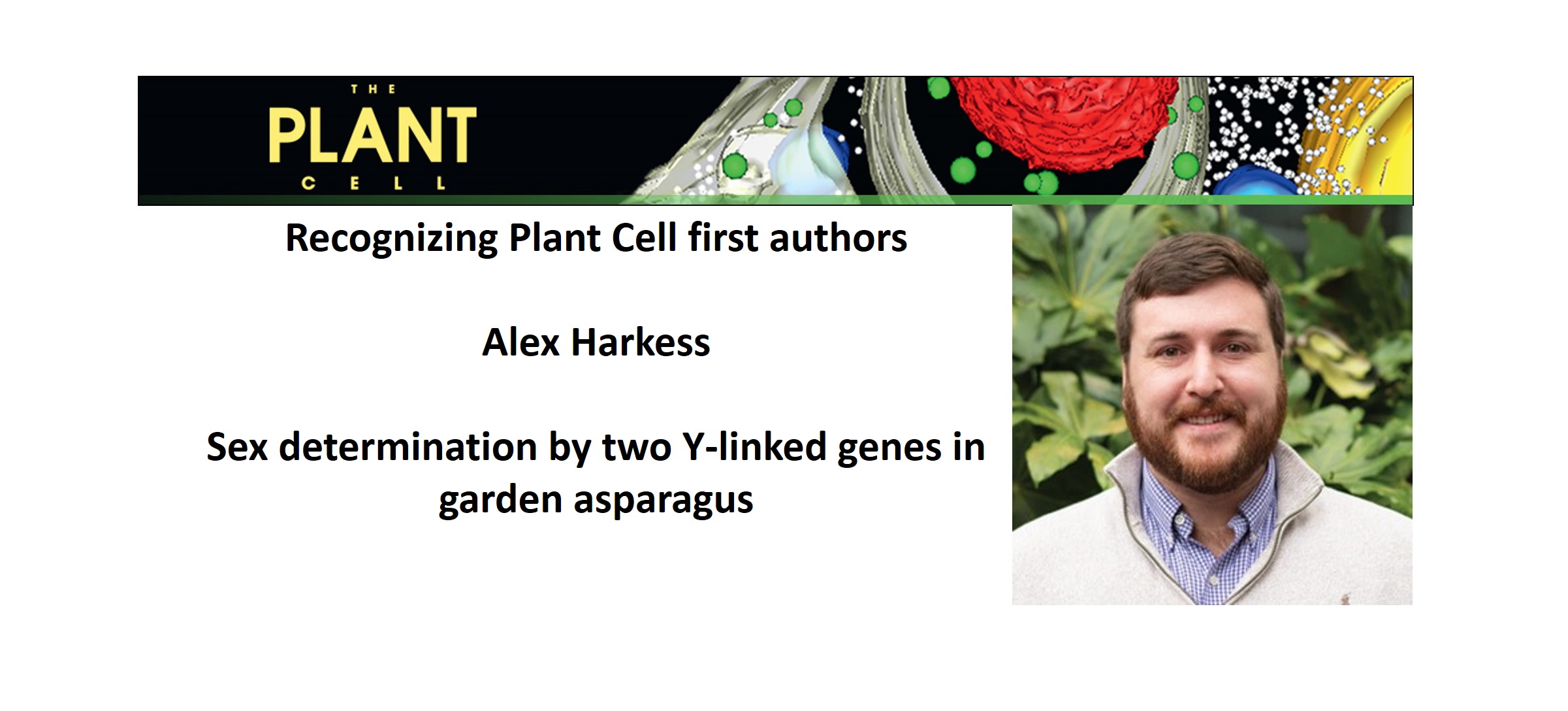 Recognizing Plant Cell authors Alex Harkess Plantae