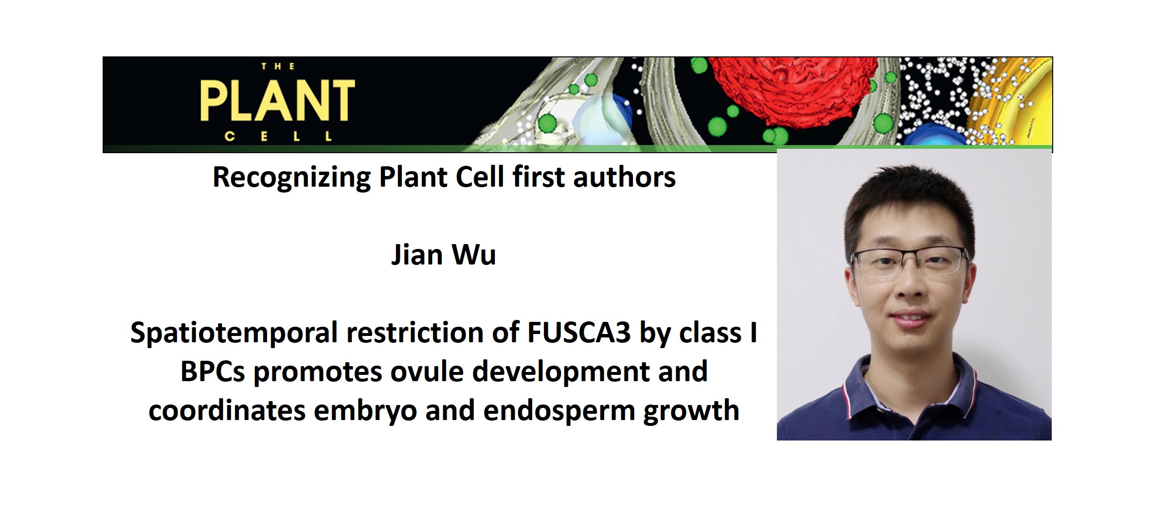 Recognizing Plant Cell authors: Jian Wu | Plantae
