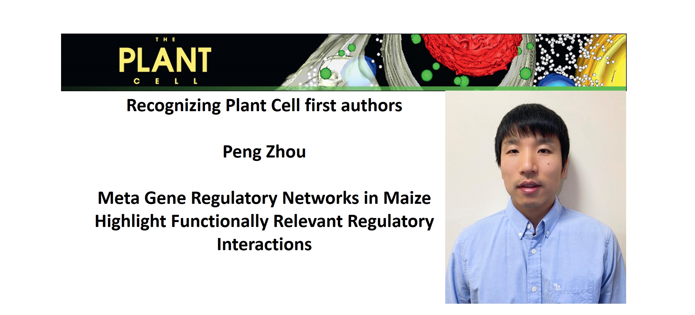 Recognizing Plant Cell authors: Peng Zhou | Plantae