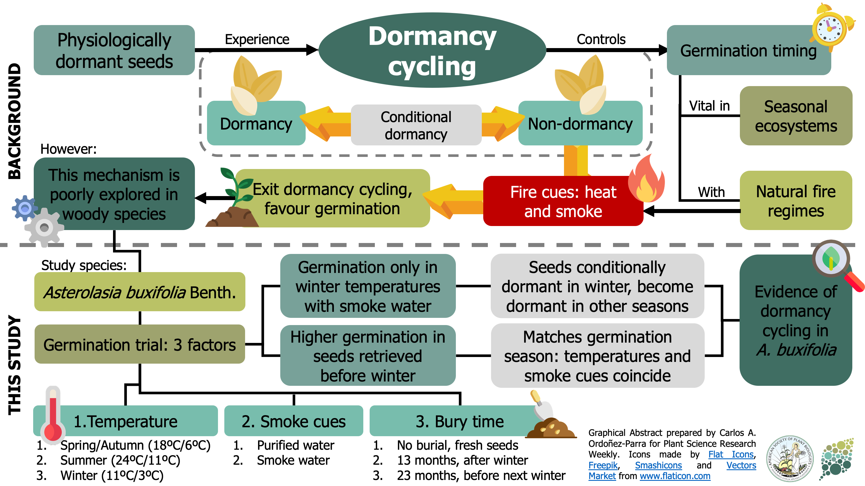 plantae-evidence-for-physiological-seed-dormancy-cycling-in-the-woody