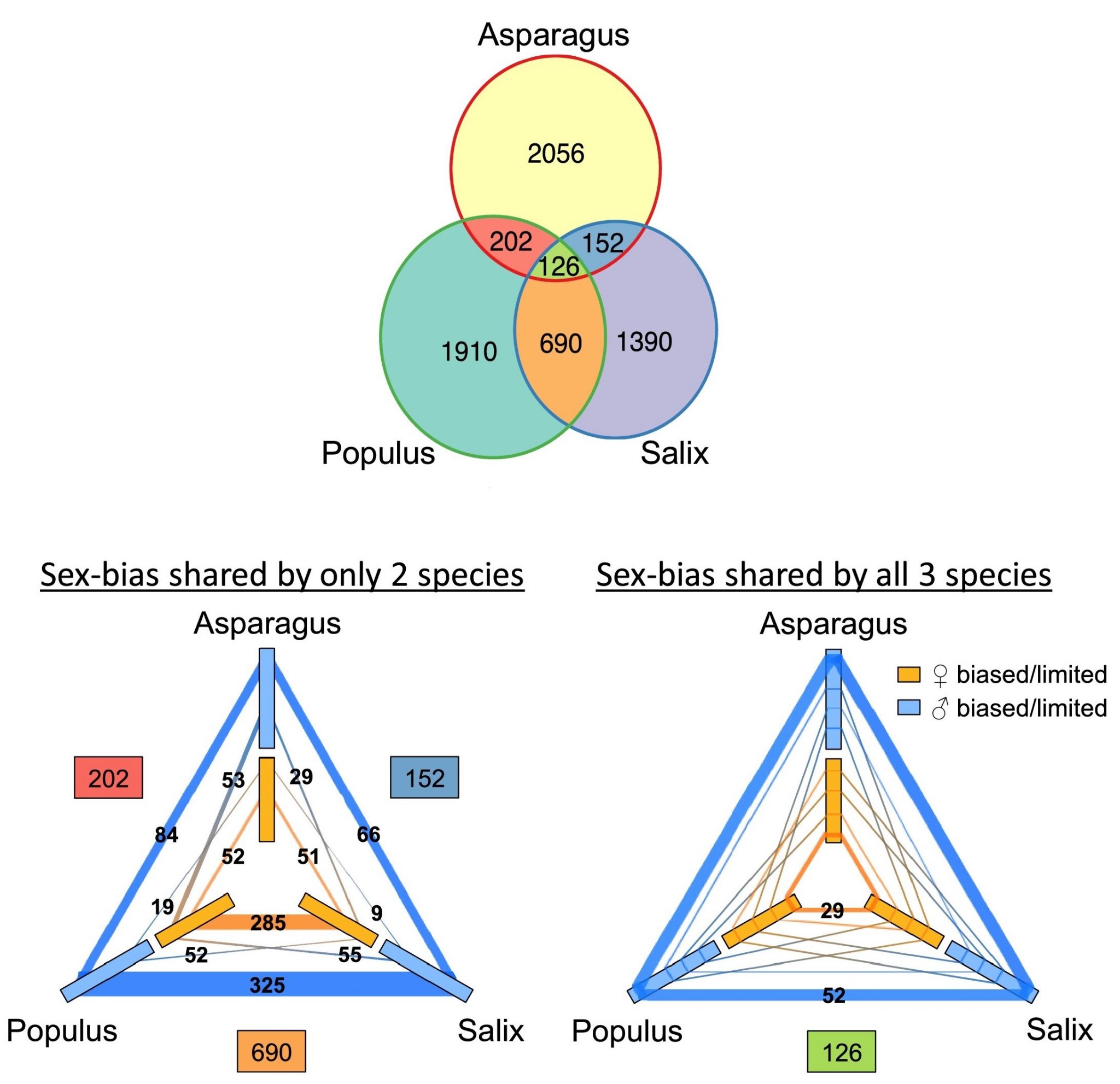 Review Pathways To Sex Determination In Plants How Many Roads Lead To